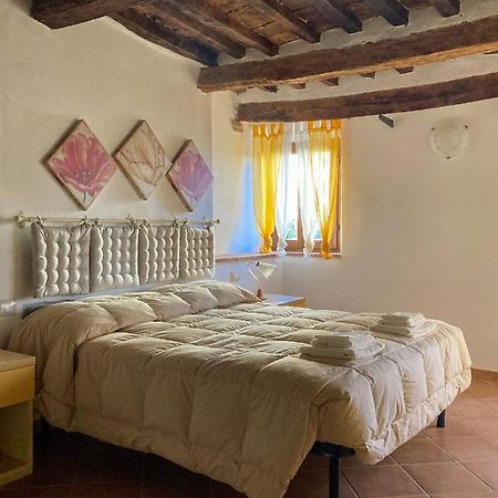 Agora Lägenhet Montecatini Val di Cecina Exteriör bild