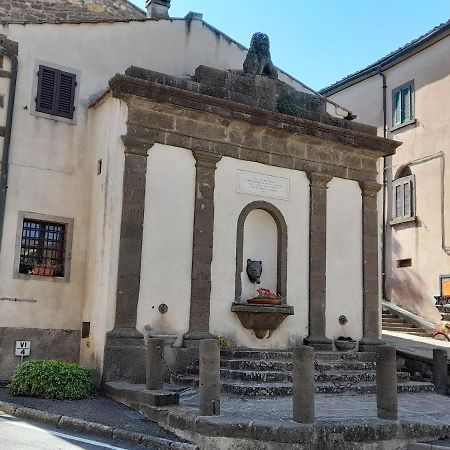 Agora Lägenhet Montecatini Val di Cecina Exteriör bild