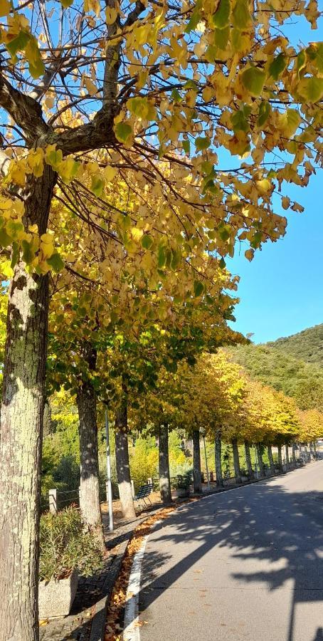 Agora Lägenhet Montecatini Val di Cecina Exteriör bild
