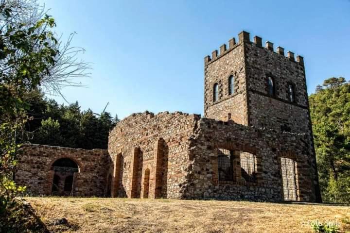 Agora Lägenhet Montecatini Val di Cecina Exteriör bild